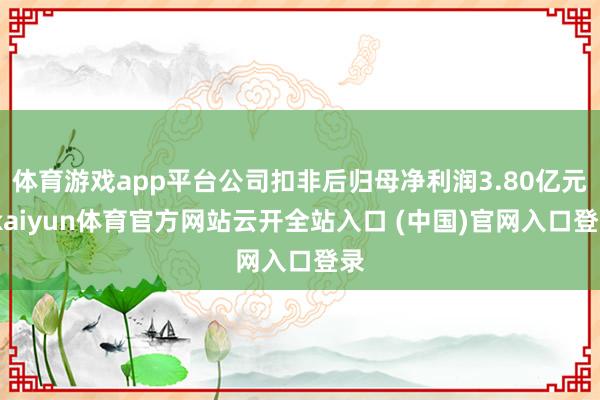 体育游戏app平台公司扣非后归母净利润3.80亿元-kaiyun体育官方网站云开全站入口 (中国)官网入口登录