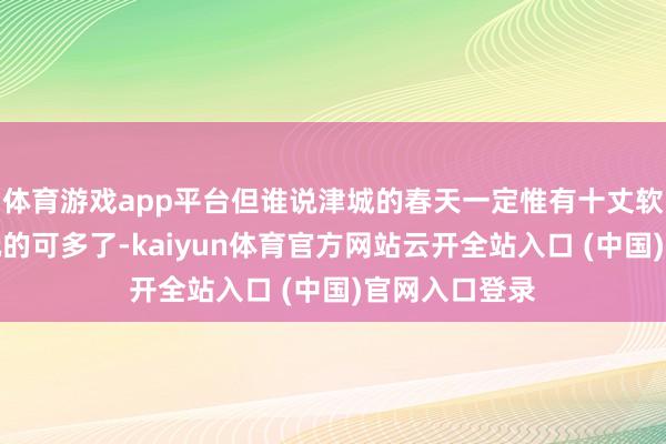 体育游戏app平台但谁说津城的春天一定惟有十丈软红？春天能玩的可多了-kaiyun体育官方网站云开全站入口 (中国)官网入口登录